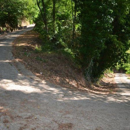A'Loro B&B Terranuova Bracciolini Εξωτερικό φωτογραφία