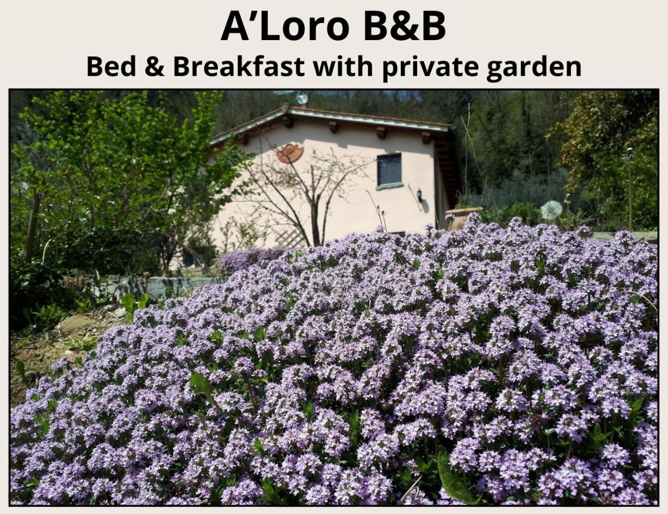 A'Loro B&B Terranuova Bracciolini Εξωτερικό φωτογραφία