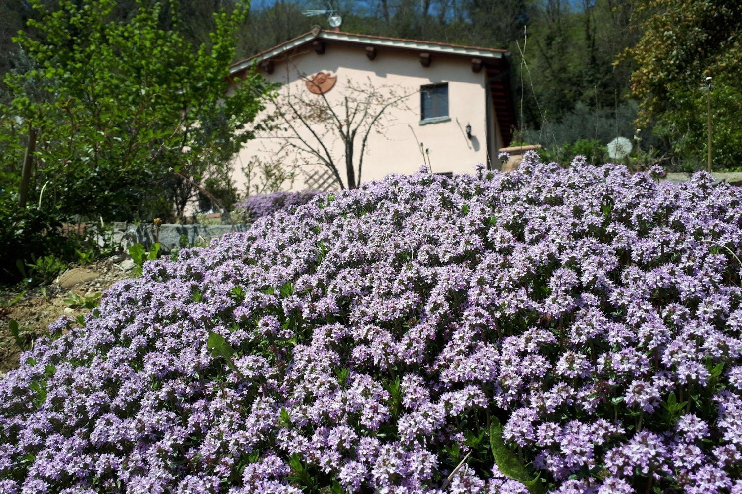 A'Loro B&B Terranuova Bracciolini Εξωτερικό φωτογραφία