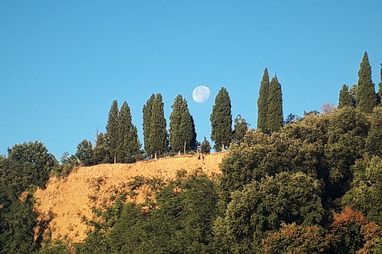 A'Loro B&B Terranuova Bracciolini Εξωτερικό φωτογραφία