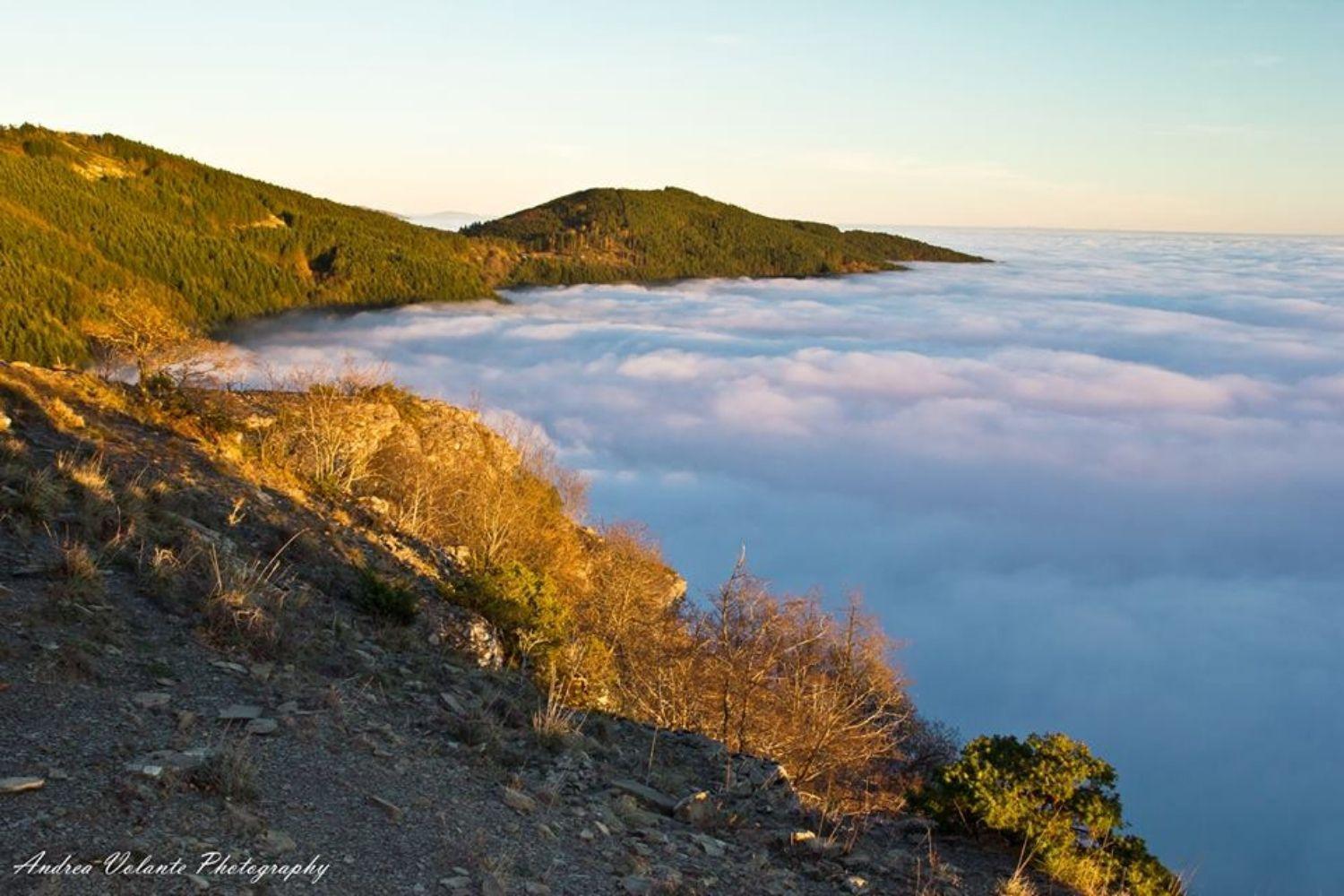 A'Loro B&B Terranuova Bracciolini Εξωτερικό φωτογραφία